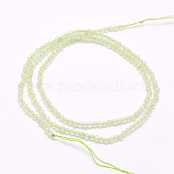 Perline Prehnite naturale fili&nbsp;G-F509-30-3mm