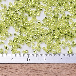 Miyuki Delica Perlen&nbsp;SEED-MY11-DB0147