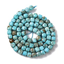 Fili di perline howlite naturale&nbsp;G-G001-B02-02