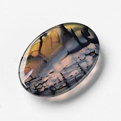 Drago naturale vene cabochon&nbsp;G-F296-05-22x30mm
