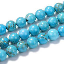 Fili di perline di magnesite naturale&nbsp;G-TAC0001-03D