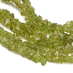 Perline peridoto naturale fili&nbsp;GG-CBA3182-01