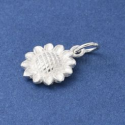 S925 Sterling Silber Charm&nbsp;STER-H115-11C-S