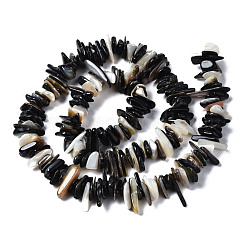 Natur schwarz Lippe Shell Perlen Stränge&nbsp;SSHEL-S266-010