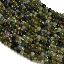 Brins de perles de tourmaline verte naturelle&nbsp;GG-CBAA9B4-B01-01