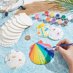 14 stücke 4 arten natürliche shell malerei zubehör&nbsp;DIY-NB0012-05
