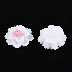 Cabochons décodés en résine&nbsp;CRES-T025-04A