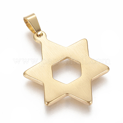 Pendentifs en acier inoxydable 304&nbsp;STAS-F210-13G