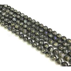 Placcare perline labradorite naturale fili&nbsp;X-G-L150-8mm-01