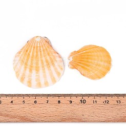Natürliche Jakobsmuschelperlen&nbsp;SSHEL-N040-04