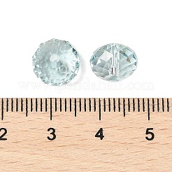 K9 Glas&nbsp;GLAA-D003-01D-01