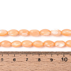 Brins de perles de coquillages naturels de troca&nbsp;SHEL-K006-19-01G