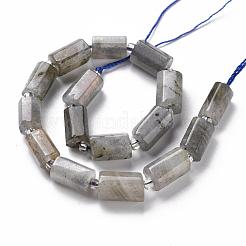 Perline labradorite naturale fili&nbsp;X-G-S345-8x11-001