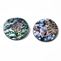 Cabochon di conchiglia abalone naturale / paua shell&nbsp;SSHEL-N034-85