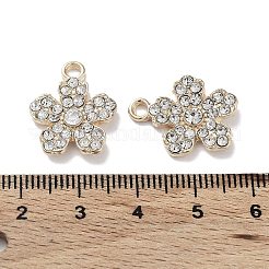 Legierung mit Kristall-Strass-Anhängern&nbsp;FIND-C042-04G