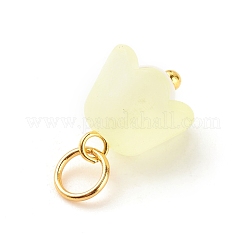 Charms acrilico trasparente&nbsp;PALLOY-JF01604-01