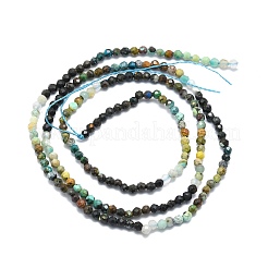 Natürliche Chrysokolla und Lapislazuli Perlen&nbsp;G-P457-A01-08