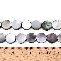 Chapelets de perles en coquillage naturel&nbsp;SSHEL-D084-13A
