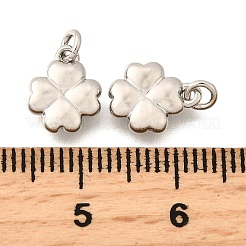 Messing Anhänger & Charms&nbsp;KK-I275-08P-02