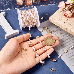 DIY Messing Glas Schmetterling und Kunststoff Kunstperlen Perlenketten Halskette Schmuck-Kits&nbsp;DIY-TA0010-49