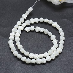 Natürlichen weißen Muschelperlen Stränge&nbsp;SSHEL-P015-01A-12mm
