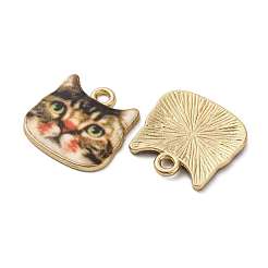 Pendentifs d'émail en alliage&nbsp;ENAM-V002-04G-04