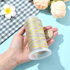 Segmentgefärbter Polyester-Rundfaden&nbsp;OCOR-CJC0007-01