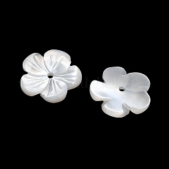 Natürlichen weißen Muschelperlen&nbsp;SH-CBA93AD-07B
