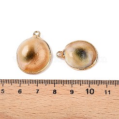 Natürliche Spirale Shell Anhänger&nbsp;SSHEL-N038-41