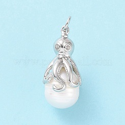 Shell pendenti di perle&nbsp;KK-C004-10P