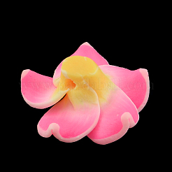 Argilla polimerica artigianali 3 d Plumeria fiore perline&nbsp;X-CLAY-Q192-30mm-10