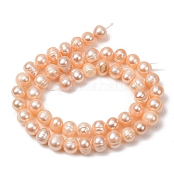 Fili di perle di perle d'acqua dolce coltivate naturali&nbsp;PA-CBABE82-16