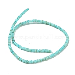 Chapelets de perles de coquille d'eau douce naturelle teinte&nbsp;X1-BSHE-G039-07C