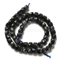 Natürliche Larvikit-Perlenstränge&nbsp;G-H078-C18-01