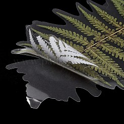 6 Stück wasserdichte Aufkleber für Pflanzen und Haustiere&nbsp;DIY-K074-01E