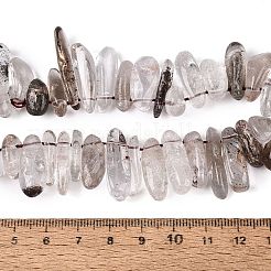 Natürliche grüne Lodolith Quarz / Garten Quarz / grüne Phantom Quarz Perlen Stränge&nbsp;G-N362-16A-01