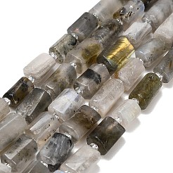 Natur Labradorit Perlen Stränge&nbsp;G-F836-B06-01