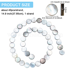 Natur schwarz Lippe Shell Perlen Stränge&nbsp;SHEL-BC0001-025