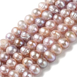 Fili di perle di perle d'acqua dolce coltivate naturali, patata, grado a, cardo, 6~8.5x6.5~7.5mm, Foro: 0.7 mm, circa 52pcs/filo, 13.86'' (35.2 cm)