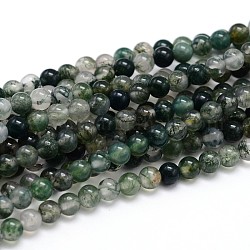 Natural Gemstone Round Bead Strands, Moss Agate, 4mm, Hole: 1mm, about 100pcs/strand, 16 inch