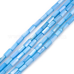 Brins de perles d'eau douce naturelles teints en coquille, colonne, bleuet, 8x4mm, Trou: 0.8mm, Environ 46 pcs/chapelet, 14.96'' (38 cm)