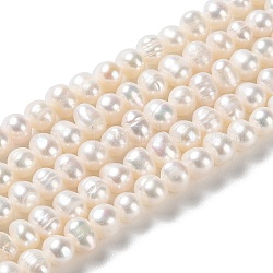 Fili di perle di perle d'acqua dolce coltivate naturali, patata, grado 2 un, papayawhip, 4~6.5x4.5~5mm, Foro: 0.5 mm, circa 76pcs/filo, 13.98 pollice (35.5 cm)