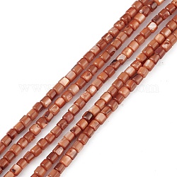 Natürliche, mit Muscheln gefärbte Perlenstränge, Würfel, Sienaerde, 3~3.5x3~3.5 mm, Bohrung: 0.8 mm, ca. 108 Stk. / Strang, 14.96'' (38 cm)