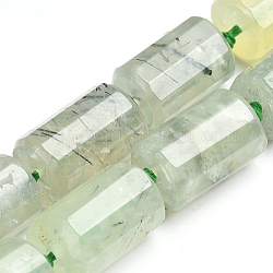 Natural Prehnite Beads Strands, Faceted, Column, 16~18x11~12mm, Hole: 2mm, about 20pcs/strand, 16.7 inch