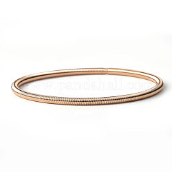 Fil de fer rond français, fil guimpeur, pour la fabrication de bijoux de bracelet, or clair, 7-1/4 pouce ~ 7-3/8 pouces (18.3~18.6 cm), 3mm