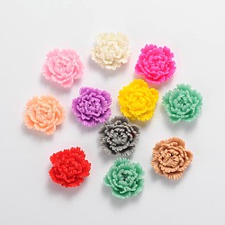 Кабошоны из смолы, цветок, разноцветные, 24x8 мм