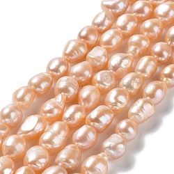 Fili di perle di perle d'acqua dolce coltivate naturali, due lati lucidati, grado 4 un, peachpuff, 10~12x9~10x7~8mm, Foro: 0.6 mm, circa 32~33pcs/filo, 13.19'' (33.5~34.5 cm)