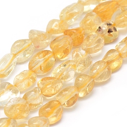 Chapelets de perles de citrine naturelle, pierre roulée, pépites, 6~10x5~6.5x3~6mm, Trou: 1mm, environ 15.55 pouce (39.5 cm)