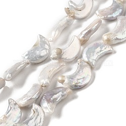 Natural Keshi Pearl Beads Strands, Baroque Pearls, Cultured Freshwater Pearl, Moon, Gainsboro, 16~20x9~11x4~5.5mm, Hole: 0.6mm, about 23~24pcs/strand, 14.96~15.35 inch(38~39cm)
