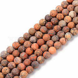 Natural American Turquoise Beads Strands, Frosted, Dyed & Heated, Round, Dark Orange, 6mm, Hole: 1mm, about 59~60pcs/strand, 15.16'(38.5cm)